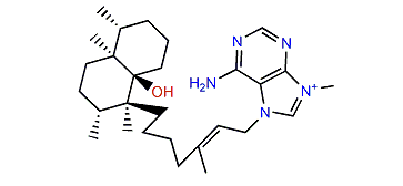 Agelasine N